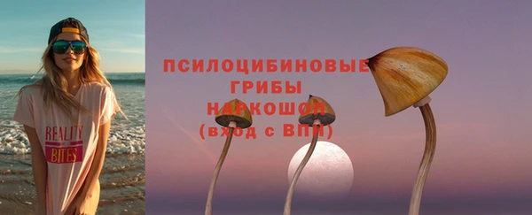 spice Кукмор