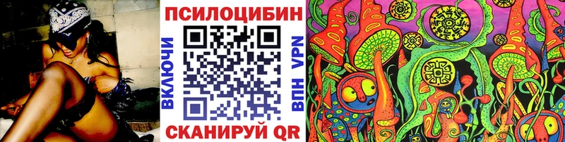 Купить закладки  Никольск  Псилоцибиновые грибы GOLDEN TEACHER 